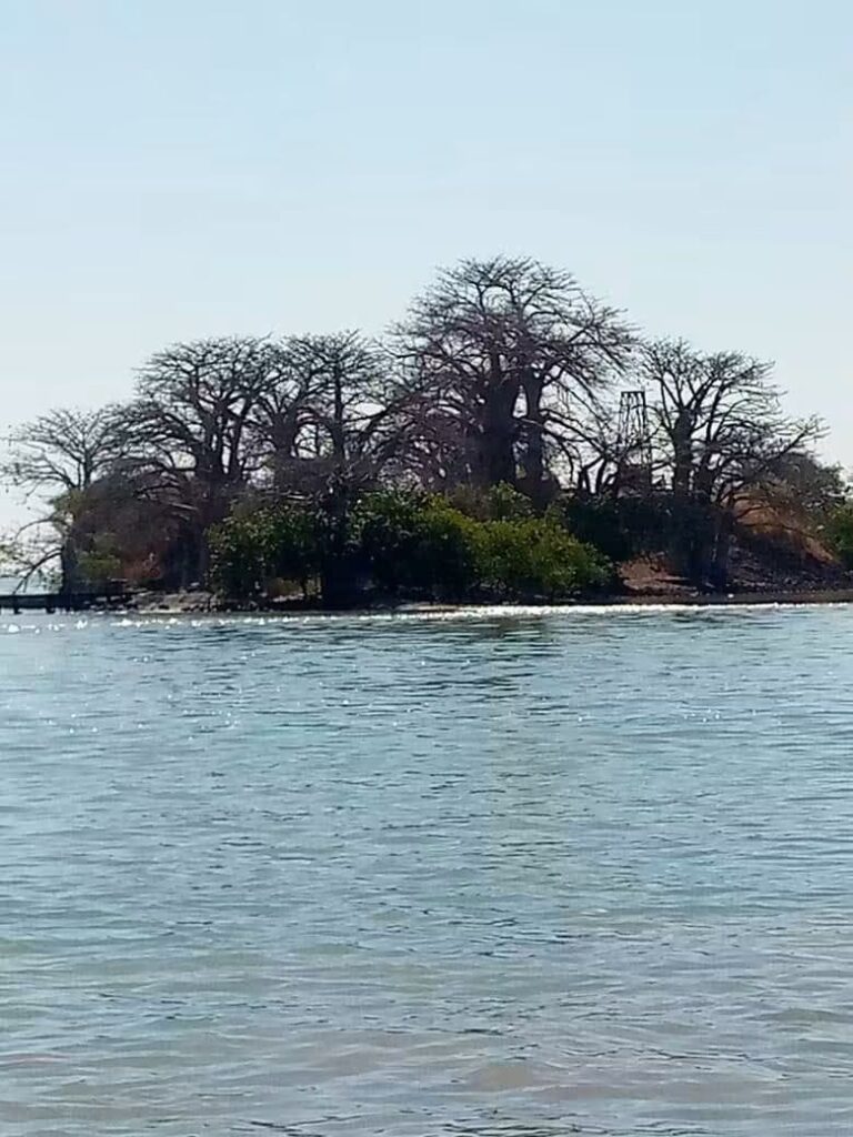Things to See in The Gambia: Places, Attractions and Experiences Worth Discovering