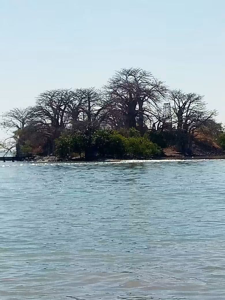 Kunta kinteh slave island