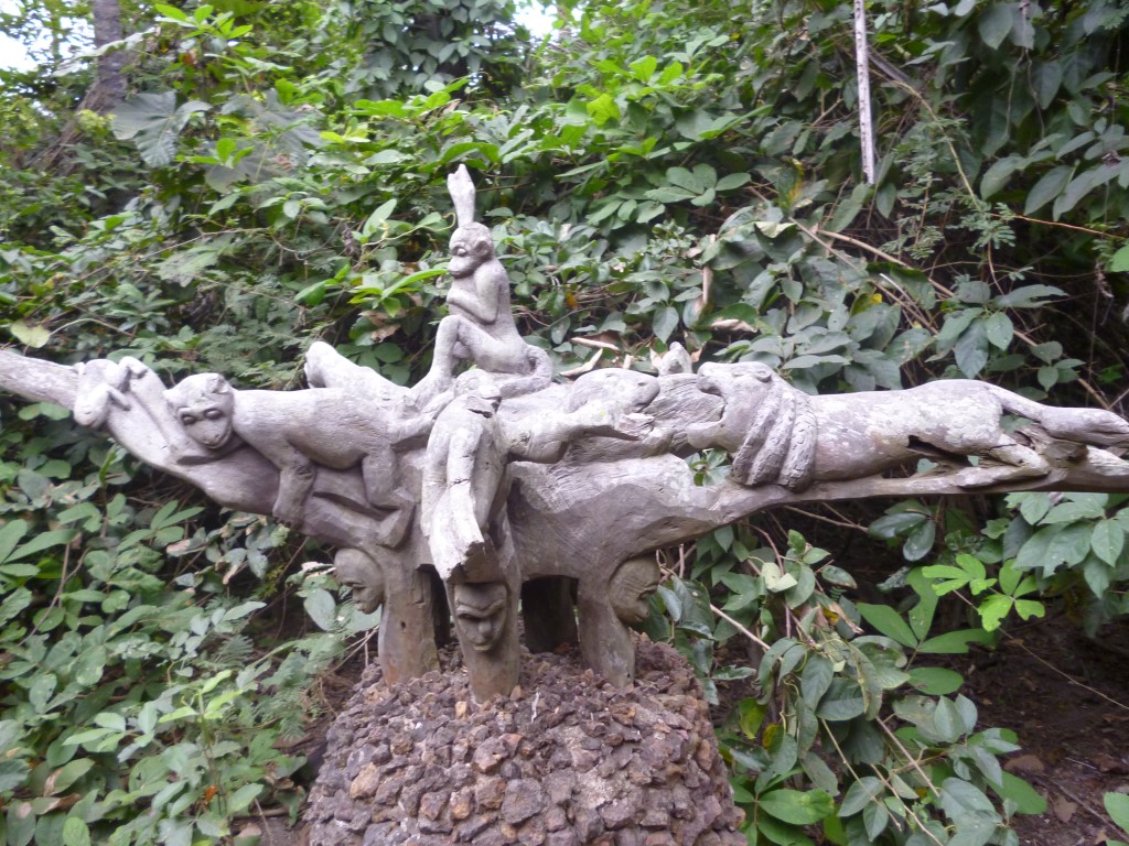 Makasutu Cultural Forest in The Gambia