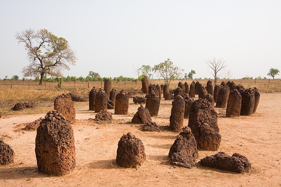 Stone circles in Wassu/The Gambia
